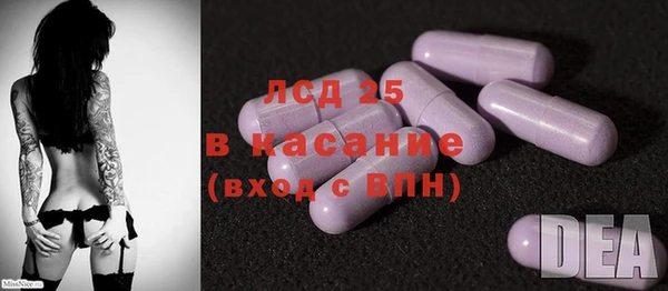прущие грибы Баксан