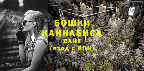 прущие грибы Баксан