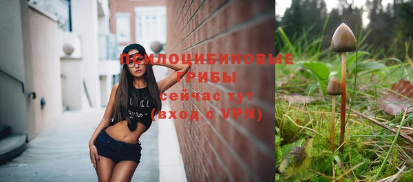 гашик Балахна